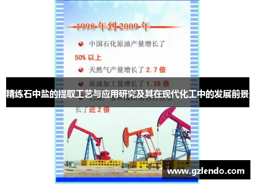 精练石中盐的提取工艺与应用研究及其在现代化工中的发展前景